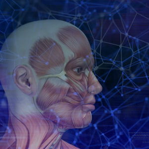 Lo squilibrio muscolare oro-facciale: valutazione e strategie riabilitative