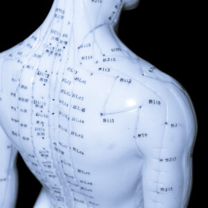 I meridiani in fisioterapia