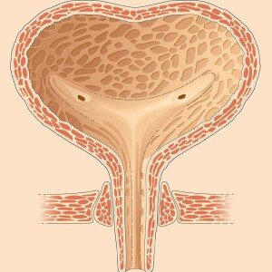 Rieducazione del pavimento pelvico – secondo livello