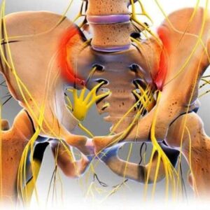 La Valutazione e il Trattamento delle Disfunzioni del Rachide Lombosacrale in Terapia Manuale