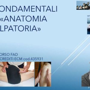 I fondamentali di “Anatomia Palpatoria”