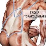 Fisioterapia specialistica avanzata