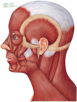 Fisioterapia specialistica avanzata