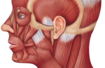 Fisioterapia specialistica avanzata