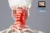 Jones strain counterstrain rachide cervicale